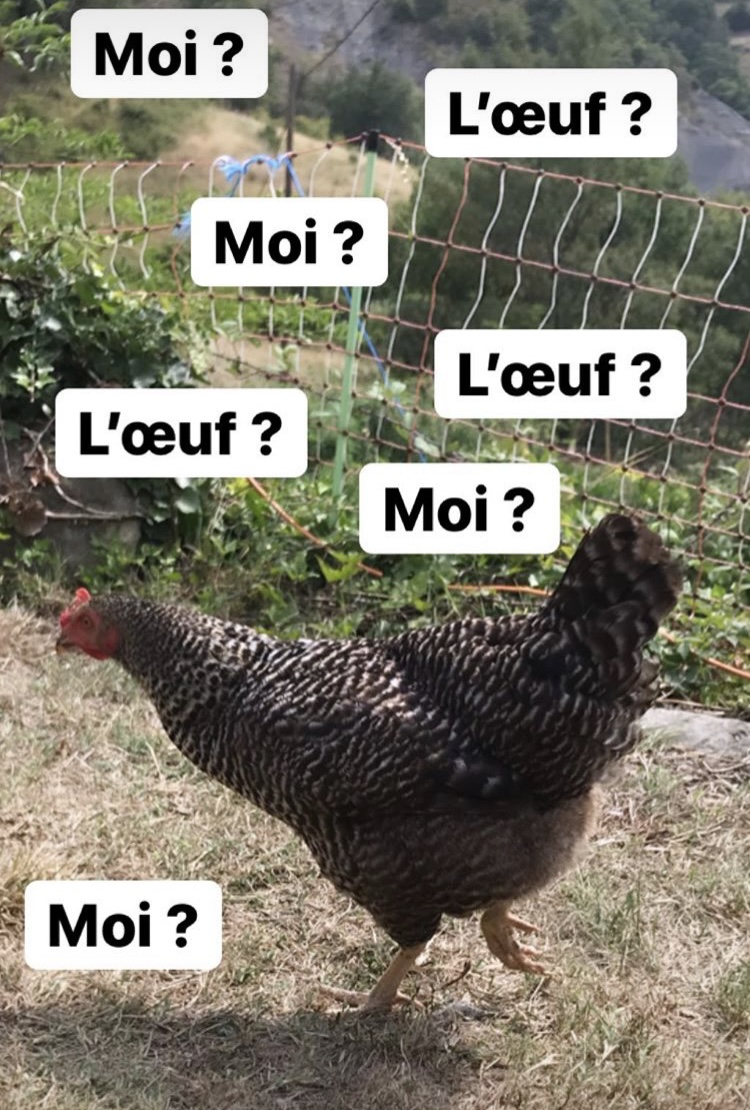 L’oeuf ou la poule ?