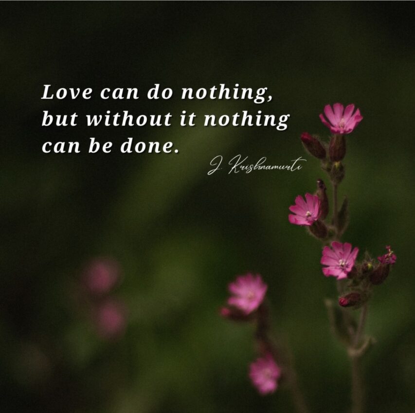 Love can do nothing, but without it nothing can be done