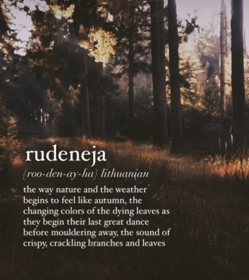 Rudeneja